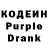 Кодеиновый сироп Lean Purple Drank Dilya Dilya