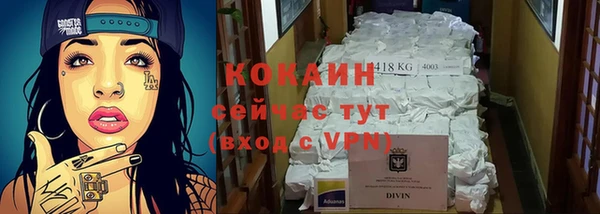 амф Бородино
