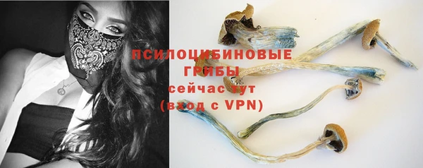 дживик Бугульма