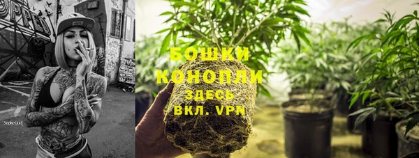 дживик Бугульма