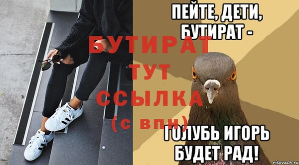 амф Бородино