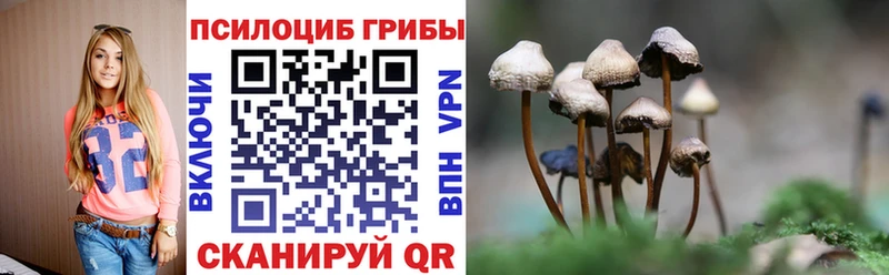 Галлюциногенные грибы мицелий  Новоржев 