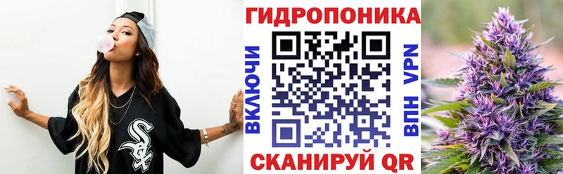даркнет сайт  Новоржев  Каннабис ГИДРОПОН 